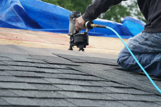 Best Metal Roofing Contractor  in Gainesville, VA